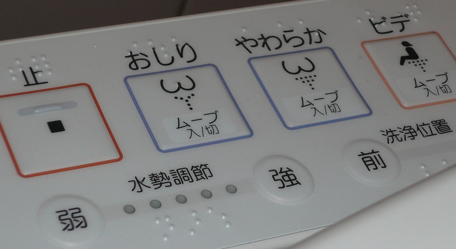 高齢の黒人のためにどのような種類の供物を提供できますか?