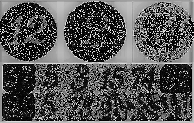 石原色覚検査表Ⅱセット 石原色覚検査表II 国際版 第38表 アズワン 色覚検査表 石原色覚